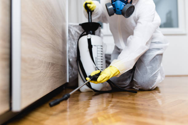 Best Pest Removal Services  in North Tonawanda, NY