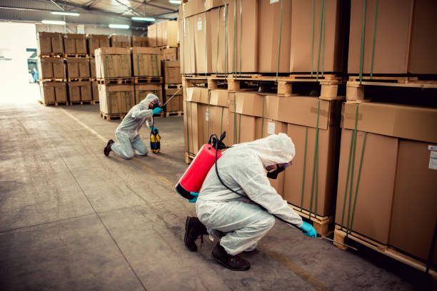 Best Mosquito Control Services  in North Tonawanda, NY