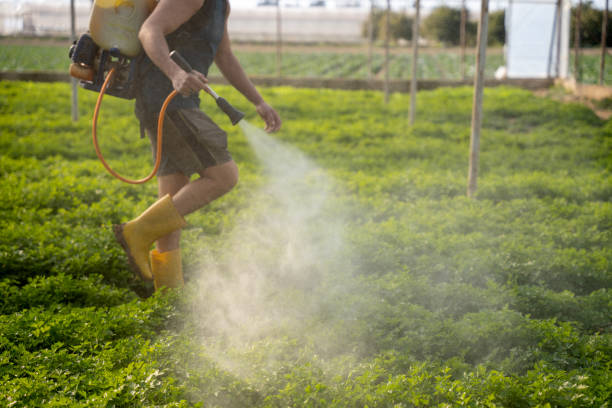 Best Affordable Pest Control Services  in North Tonawanda, NY