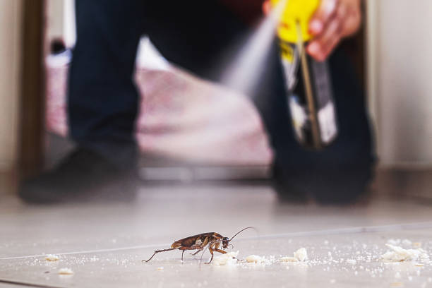 Best Pest Control for Homes  in North Tonawanda, NY