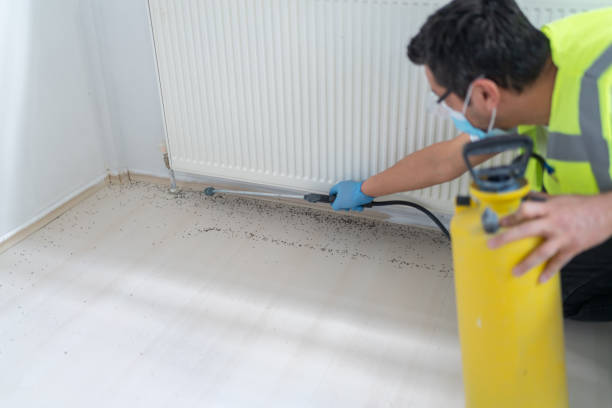 Best Best Pest Control Companies  in North Tonawanda, NY