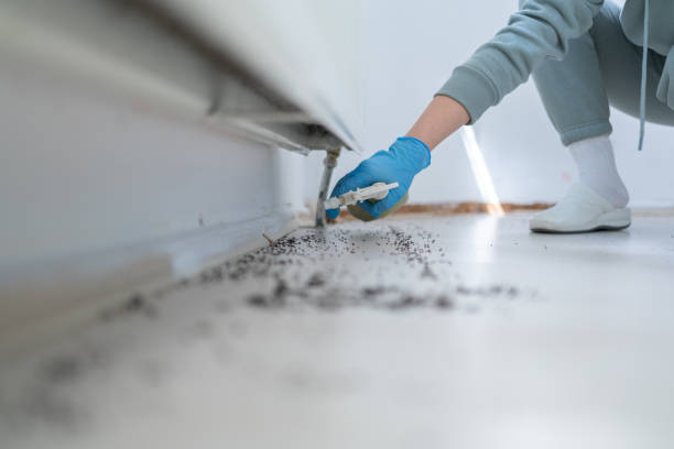 Best Commercial Pest Control Services  in North Tonawanda, NY