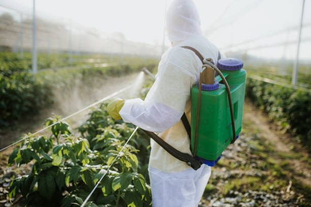 Best Wasp Removal Services  in North Tonawanda, NY